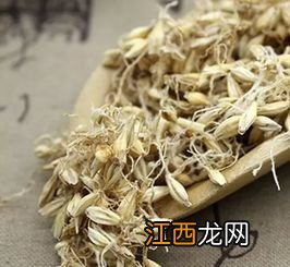 生麦芽和炒麦芽的区别 麦芽长什么样