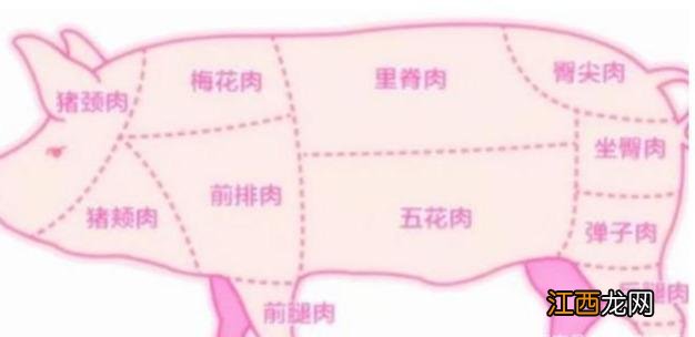 羊的护心肉是哪部分?羊的雪花肉是哪个部位,点赞最多的文章