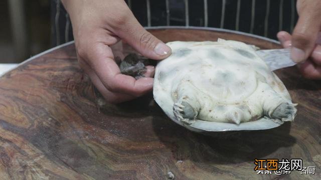 煲甲鱼汤要放什么材料？甲鱼的最佳搭配，让人一看就懂的文章