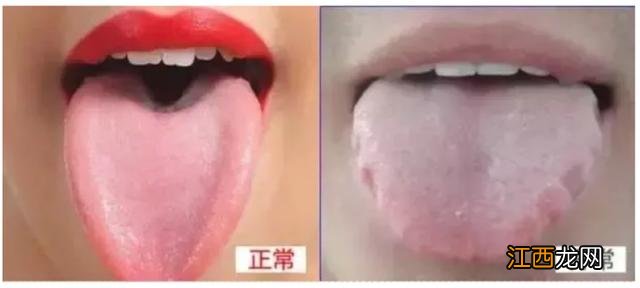 肉墩怎么保养？肉墩的正确使用方法，特别好的文章