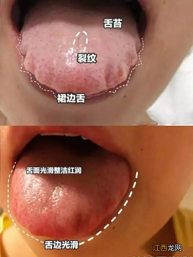 肉墩怎么保养？肉墩的正确使用方法，特别好的文章