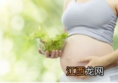 孕妇吃什么有营养对胎儿好 适合孕妇营养早餐50例