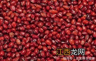 红豆不能和什么同时吃 吃红豆不能和什么一起吃