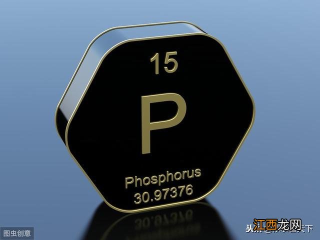 地下的蔬菜都含磷高吗?白菜含磷有多高,实在太有用了