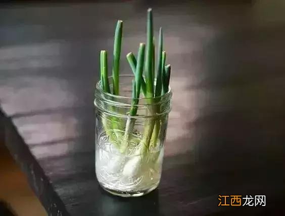 嗓子咳嗽有痰吃什么蔬菜比较好？咳嗽有白色粘痰吃什么菜，此文真不错