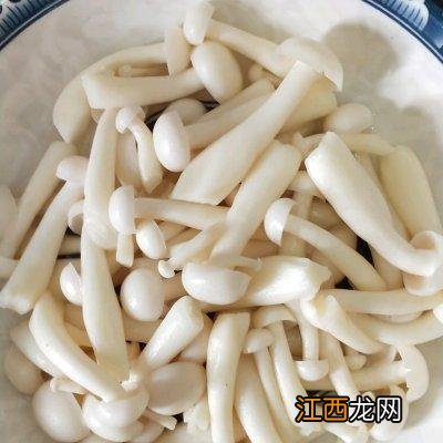 白玉菇跟什么菜炒好吃？白玉菇适合炒啥，一波科普涨知识