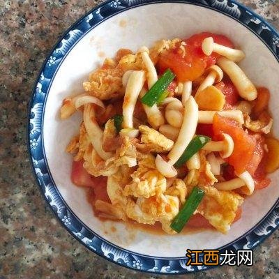 白玉菇跟什么菜炒好吃？白玉菇适合炒啥，一波科普涨知识