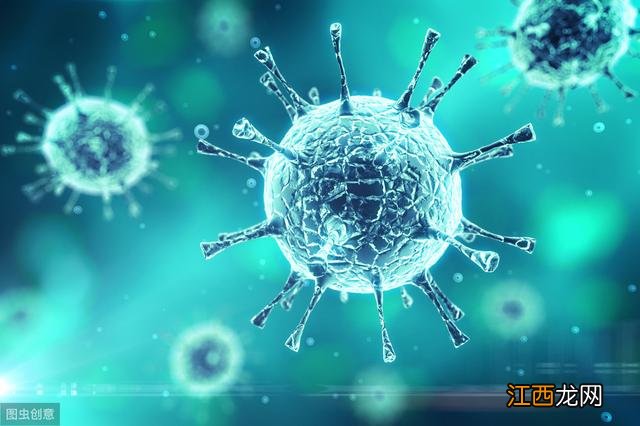 什么样的五指毛桃才是好的?假的五指毛桃图片大全,保存了,太实用!