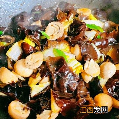 黑木耳跟什么配一起更好？黑木耳炒熟了隔夜能吃吗，看完文章在做决定