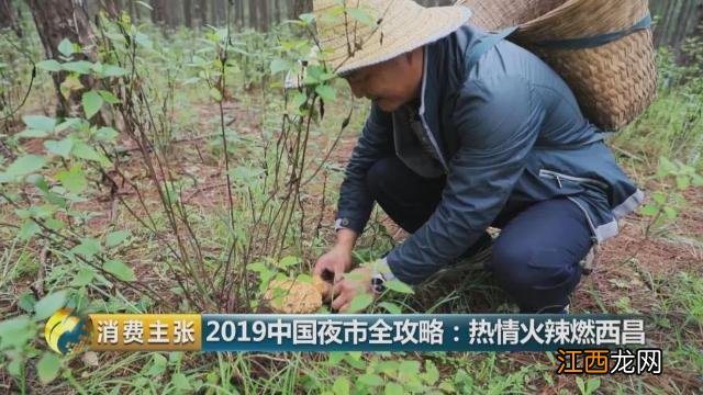 西昌怎样选圆根萝卜酸菜？酸菜的营养价值功效，点赞精彩文章