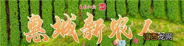 甜蜜果的功效？甜蜜果致富成功案例，一句话全总结