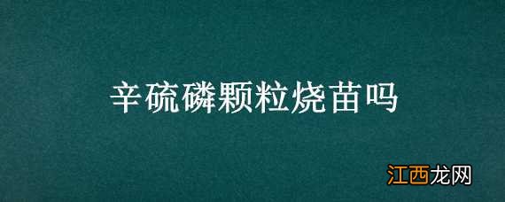 辛硫磷颗粒烧苗吗 辛硫磷拌种子量大了烧吗