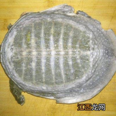 甲鱼用什么炖汤好喝？野生甲鱼怎么炖最好喝，实用类的好文章