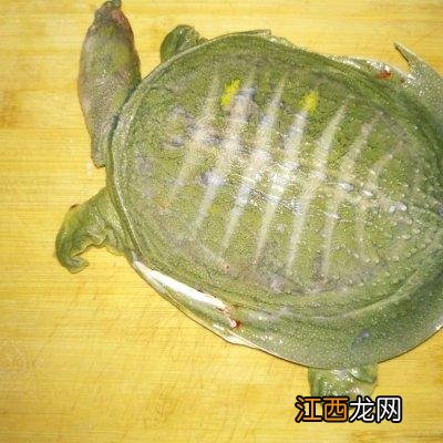 甲鱼用什么炖汤好喝？野生甲鱼怎么炖最好喝，实用类的好文章