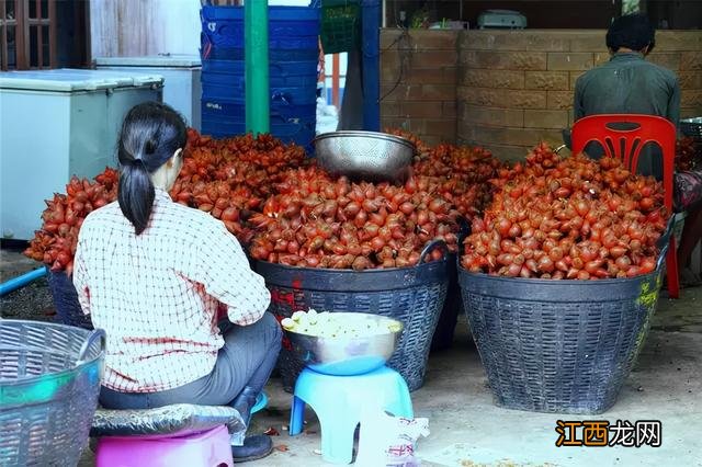 蛇皮果不可以和什么一起吃？蛇果能经常吃吗，技巧全在这里