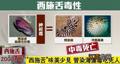 比蛤蜊大的是什么海鲜?蛤蜊的学名叫什么,此文被多次浏览