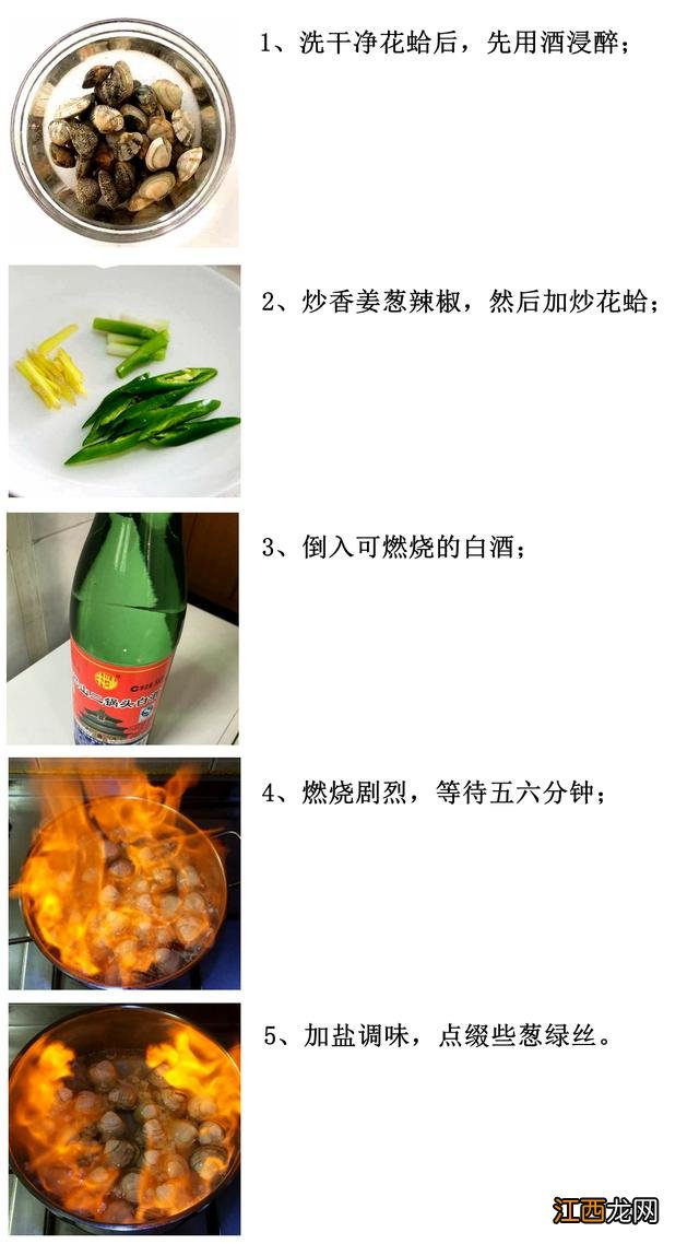 比蛤蜊大的是什么海鲜?蛤蜊的学名叫什么,此文被多次浏览