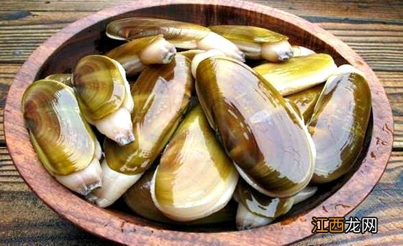 比蛤蜊大的是什么海鲜?蛤蜊的学名叫什么,此文被多次浏览