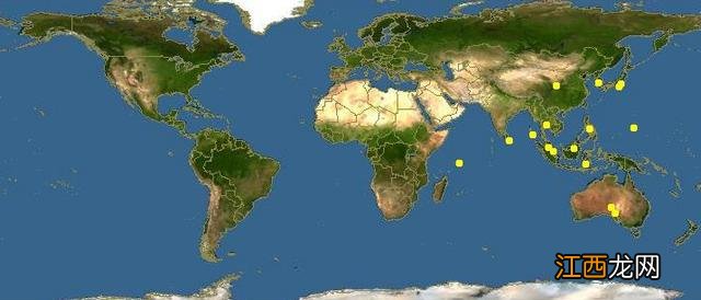 比蛤蜊大的是什么海鲜?蛤蜊的学名叫什么,此文被多次浏览