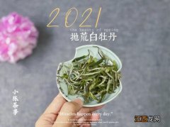 最好的几款茶？什么茶香滑回甘，今天告诉你！