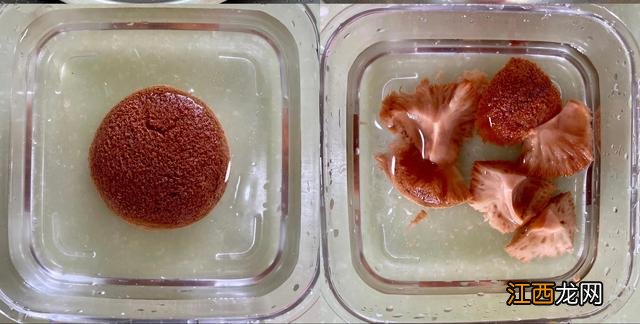 什么干菌适合熬汤,干菌汤怎么熬最好喝,这篇告诉你