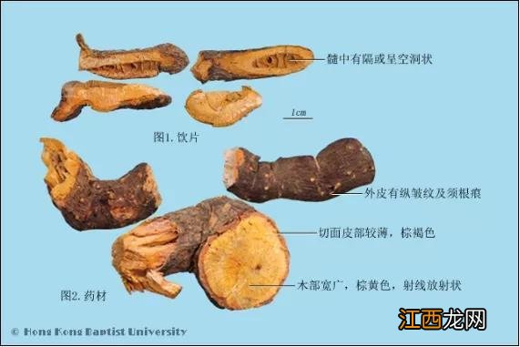 老虎汤功效作用是什么,老虎汤功效作用是什么,认准这几点没有错