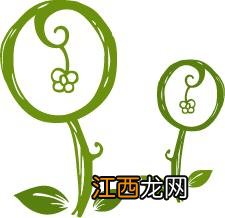 木耳和香菇炖鸡有什么好处,清炖鸡香菇木耳功效,请读我这篇文章