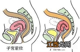 生理期期间宜吃什么,老公早上吃什么补身体,别问不知道