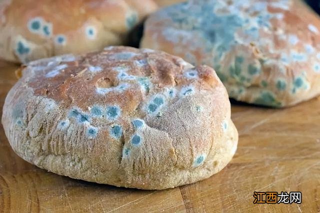 肠胃损伤吃什么,肠胃受损该吃什么,点击[了解更多]