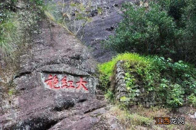 大红袍一泡要2000元吗,大红袍差价为什么大,恍然大悟之感