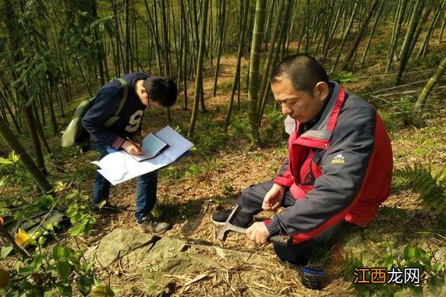 开紫色花是什么豆,什么豆开紫色的花,看完又被刷新认知