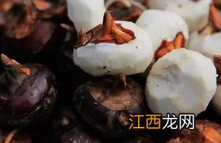 茡荠怎样吃好 马蹄和什么一起吃比较好