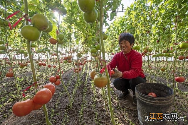 葡萄糖可以用什么替代,有什么替代葡萄糖,看完刷新了认知!