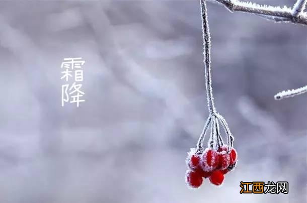 天冷了喝点什么茶,霜寒天冷喝什么茶好,这么写的真好