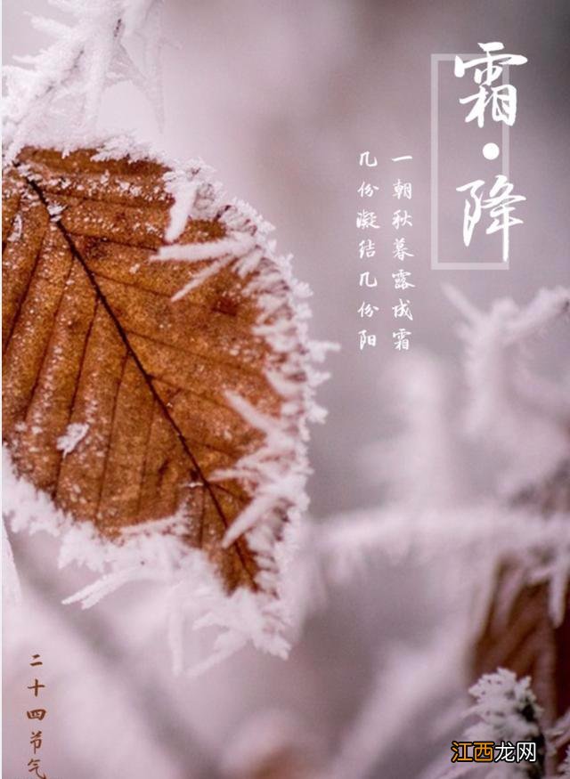 天冷了喝点什么茶,霜寒天冷喝什么茶好,这么写的真好