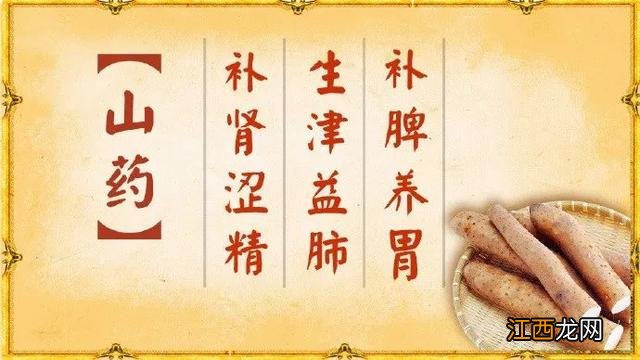 吃山药补什么,常吃山药有什么好处,点击此处参考文章