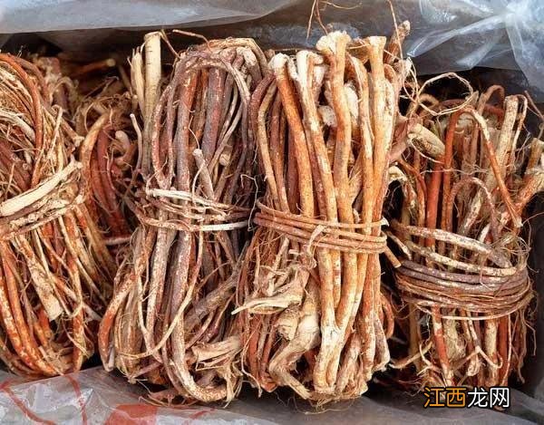 五指毛桃和什么一起煲汤,五指毛桃配牛大力煲汤有什么功效,长篇好文章