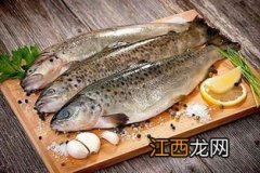 三文鱼冷冻能保存多久 冷鲜鱼和冷冻鱼有什么区别