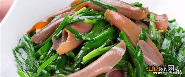 海肠是什么意思,什么是海肠图片,内容解读详细，赞！