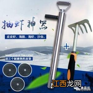 海肠是什么意思,什么是海肠图片,内容解读详细，赞！