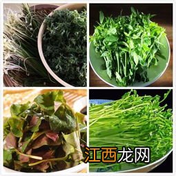 能吃的常见的野菜都有什么 地里能吃的野菜有哪些