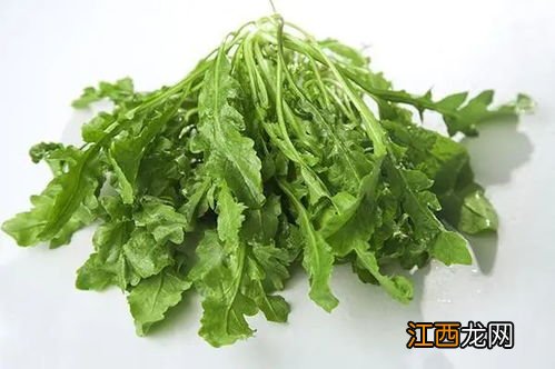 能吃的常见的野菜都有什么 地里能吃的野菜有哪些