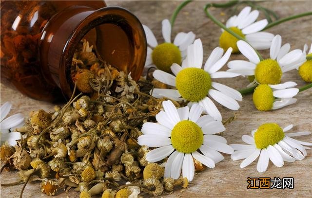 咖啡油的使用方法,咖啡油的作用是什么,点击展开全文