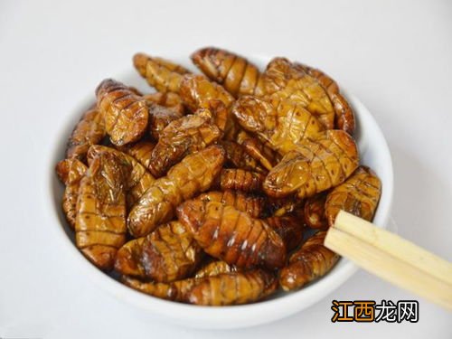 茧蛹怎么读 吃蚕蛹补血吗