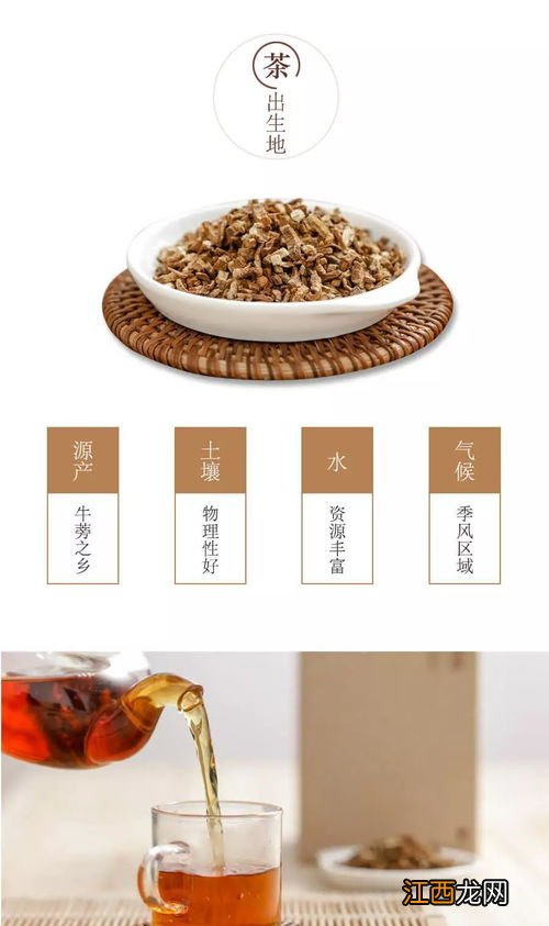 牛蒡茶能和什么在一起搭配喝 牛蒡茶怎么泡最好