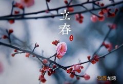 春天在饮食上应该如何养生 春季吃什么养生