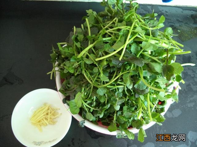 西洋菜不能与什么同食 西洋菜不可以和什么一起吃