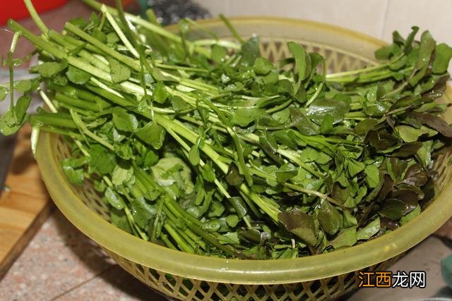 西洋菜不能与什么同食 西洋菜不可以和什么一起吃