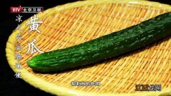 黄瓜可以和什么菜一起烧 黄瓜可以和什么蔬菜一起炒