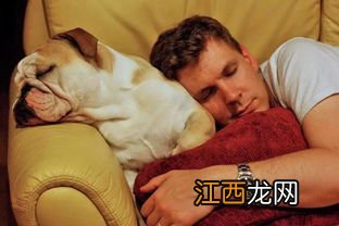 喝啥能促进睡眠 晚上喝什么水好能助眠